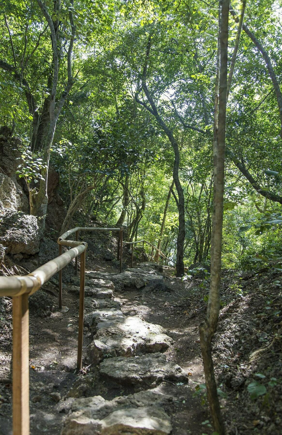 Menjangan Ecolodge - Chse Certified Banyuwedang Ngoại thất bức ảnh