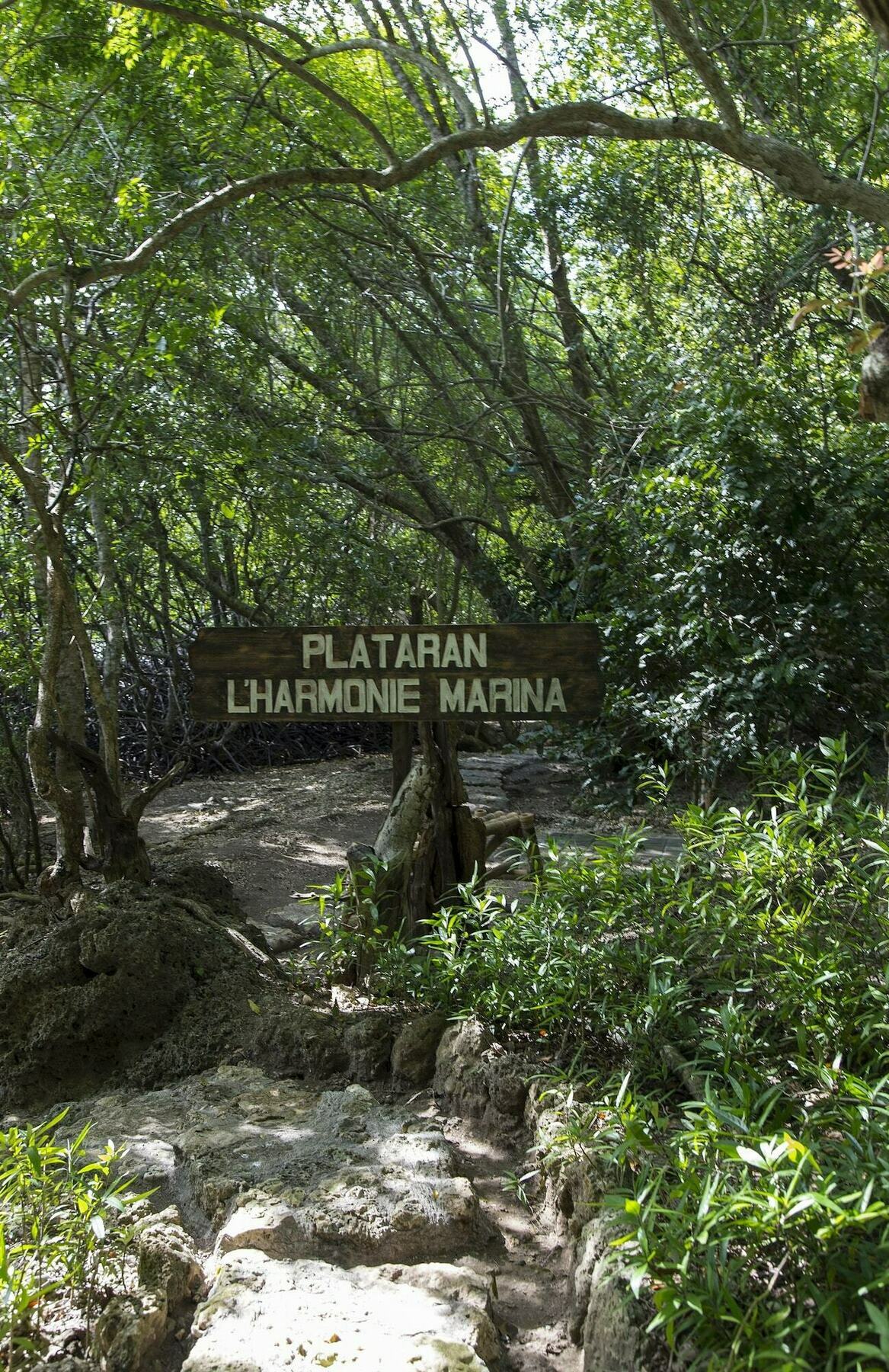 Menjangan Ecolodge - Chse Certified Banyuwedang Ngoại thất bức ảnh